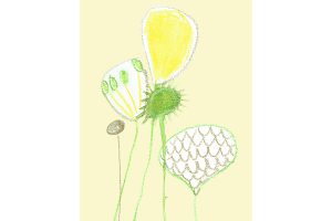 grote bloemen gr map 2 detail 600×400 jpeg