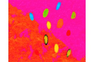 my house abstract detail aj 038 600×400 jpeg