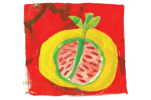 fruit detail art mariska eyck stapel beneden rgb 400×600